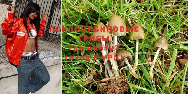 a pvp Красноперекопск