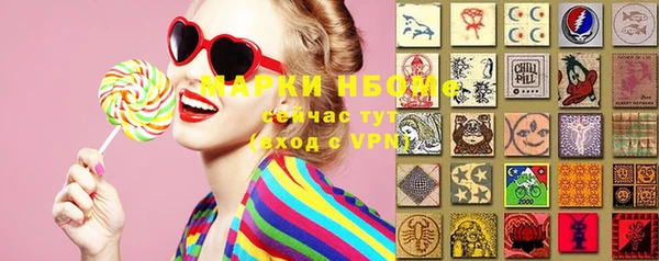 ПСИЛОЦИБИНОВЫЕ ГРИБЫ Кулебаки